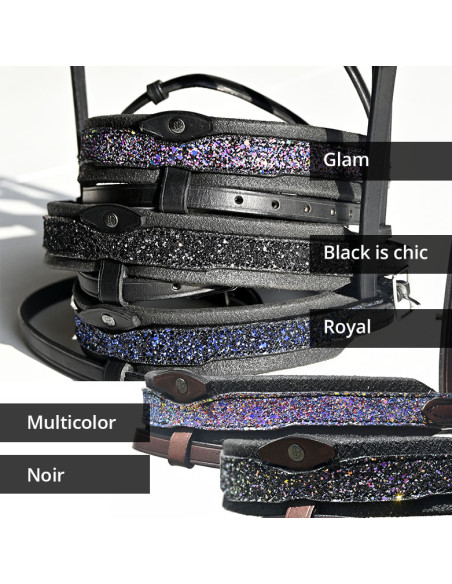 Bridon Evolution Contact Disco - IHWT