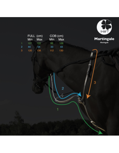 Martingale C-Cure à Anneaux - IHWT