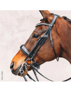Bride Venice Schockemöhle