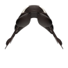 Selle de Cross Paris K - Prestige Italia