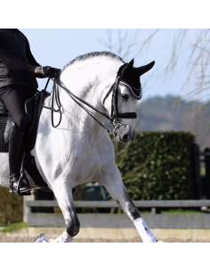 Bride Milan Schockemöhle