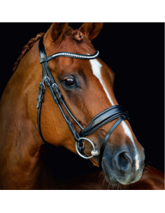 Bridon Malibu Schockemöhle 2