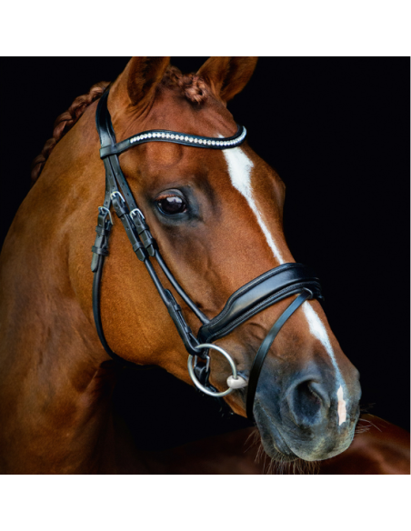 Bridon Malibu - Schockemöhle