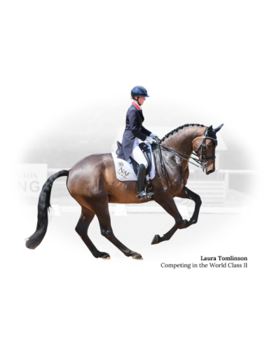 Selle de Dressage World Class II - Fairfax