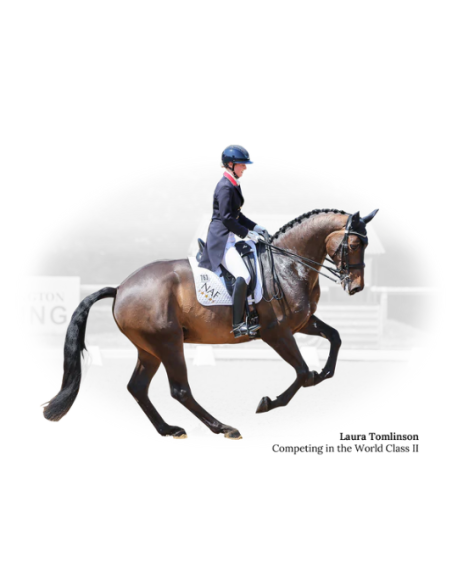 Selle de Dressage World Class II - Fairfax