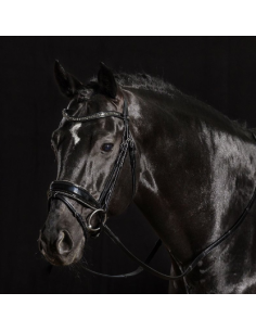 Bridon Stanford Glam Schockemöhle