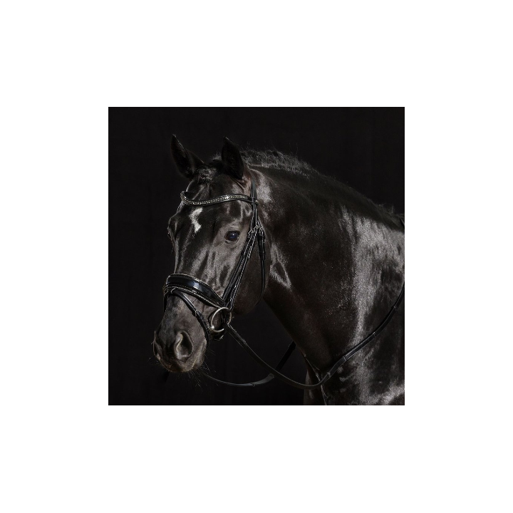 Bridon Stanford Glam - Schockemöhle