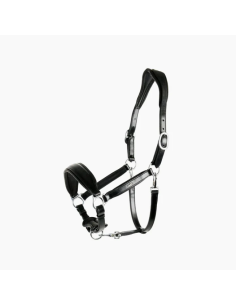 Licol Cuir Fremont Schockemöhle 2