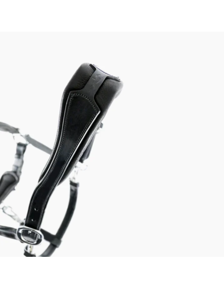 Licol Cuir Fremont Schockemöhle