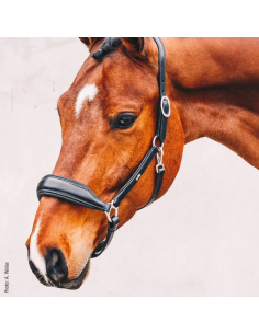 Licol Cuir Fremont Schockemöhle