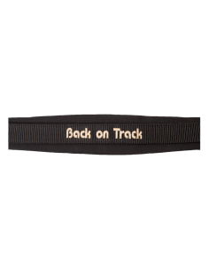 Licol Werano - Back On Track 2