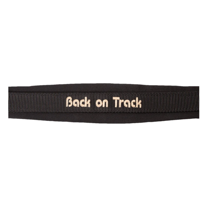 Licol Werano - Back On Track