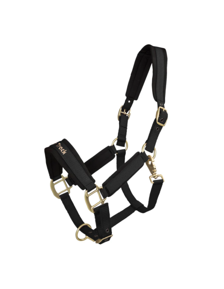 Licol Werano - Back On Track