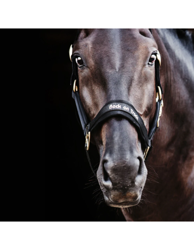 Licol Werano - Back On Track