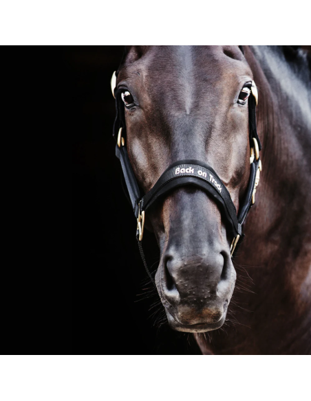 Licol Werano - Back On Track