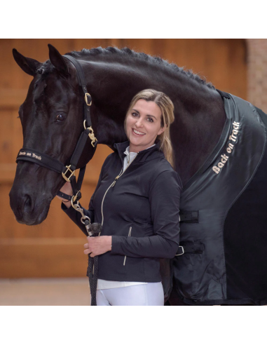 Licol Werano - Back On Track