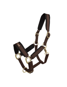 Licol Werano - Back On Track 2