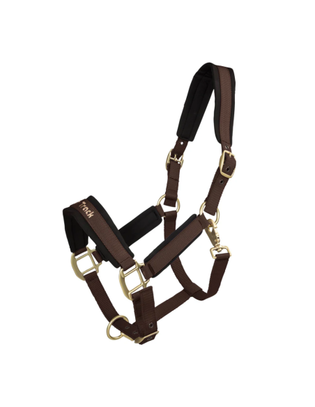 Licol Werano - Back On Track