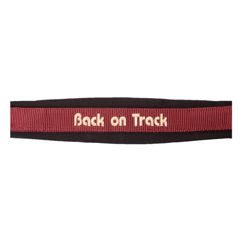 Licol Werano - Back On Track