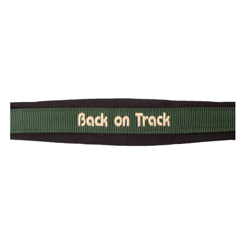 Licol Werano - Back On Track