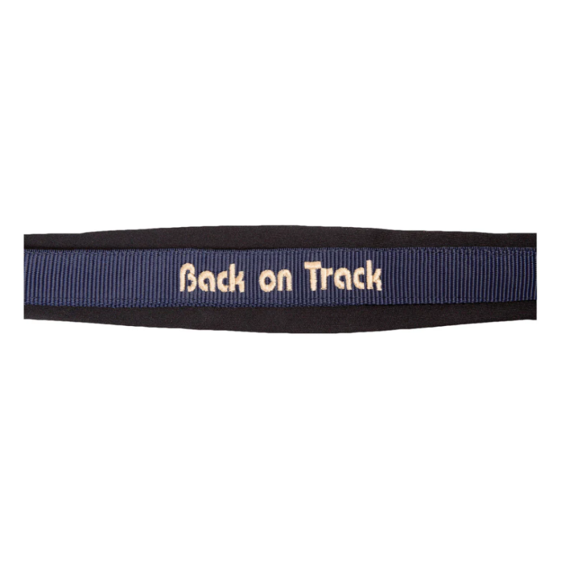 Licol Werano - Back On Track