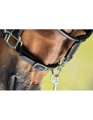 Licol en cuir Grooming - HFI