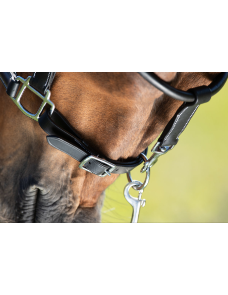 Licol en cuir Grooming - HFI