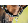 Licol en cuir Grooming - HFI