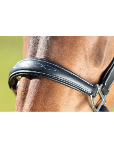 Licol en cuir Grooming - HFI