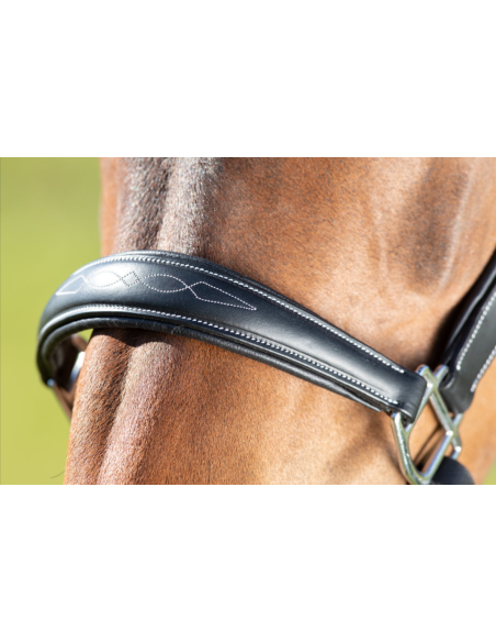 Licol en cuir Grooming - HFI