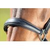 Licol en cuir Grooming - HFI