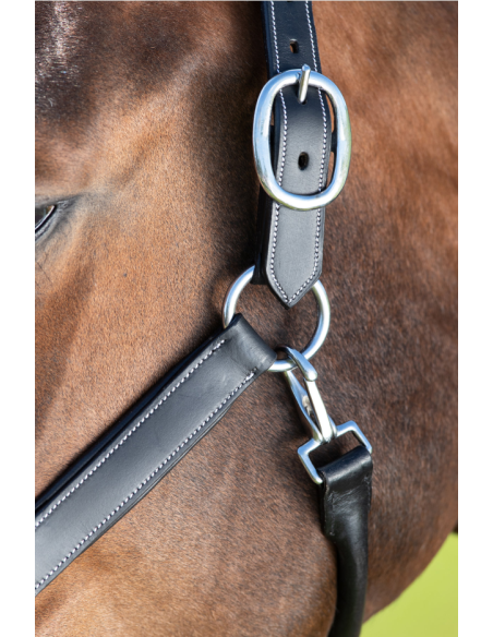 Licol en cuir Grooming - HFI