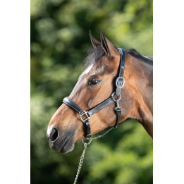 Licol en cuir Grooming - HFI