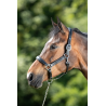 Licol en cuir Grooming - HFI