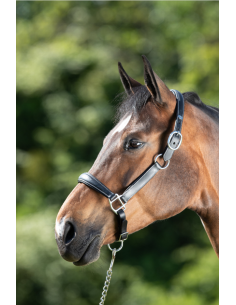 Licol en cuir Grooming - HFI 2