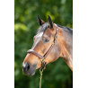 Licol en cuir Grooming - HFI