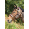 Licol en cuir Grooming - HFI