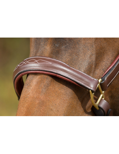 Licol en cuir Grooming - HFI