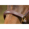 Licol en cuir Grooming - HFI