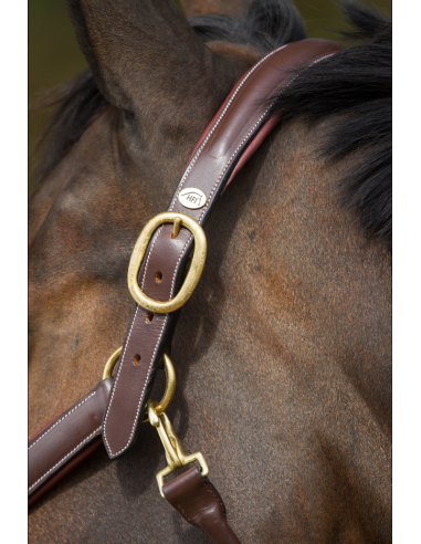 Licol en cuir Grooming - HFI