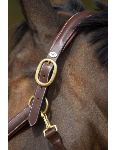 Licol en cuir Grooming - HFI