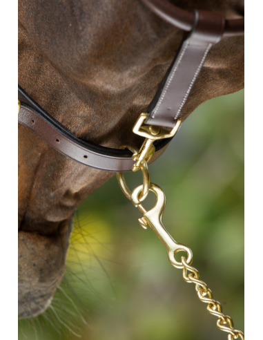 Licol en cuir Grooming - HFI