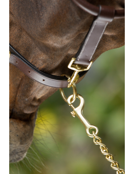 Licol en cuir Grooming - HFI