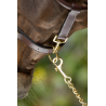 Licol en cuir Grooming - HFI