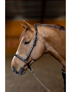 Licol en cuir Little Groom - HFI 2