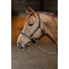 Licol en cuir Little Groom - HFI