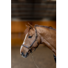 Licol en cuir Little Groom - HFI