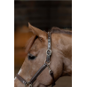 Licol en cuir Little Groom - HFI