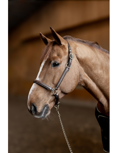 Licol en cuir Little Groom - HFI