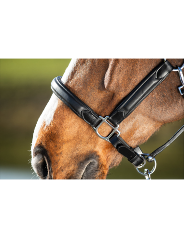 Licol en cuir Wave - HFI